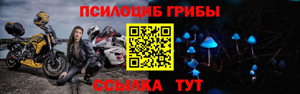 Тихорецк  Галлюциногенные грибы Psilocybine cubensis  Вход с VPN 
